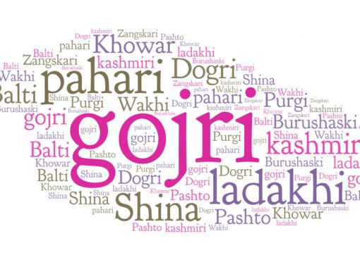 The Hilarious A to Z of Kashmiri Language - Gyawun