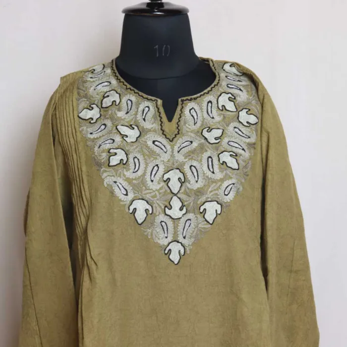 Western Kashmiri Top with aari embroidery 12